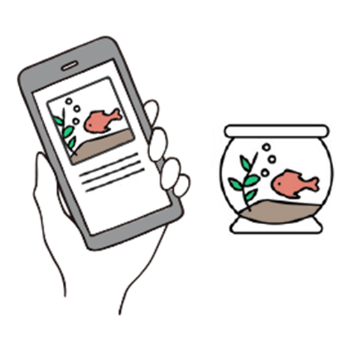 イチオシの商品写真を投稿