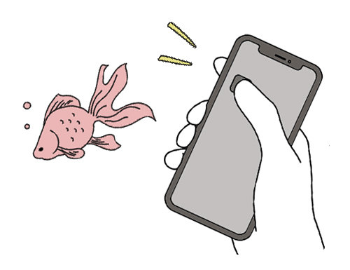 セール中の商品写真や売れ筋商品の写真投稿で集客